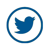 twitter icon